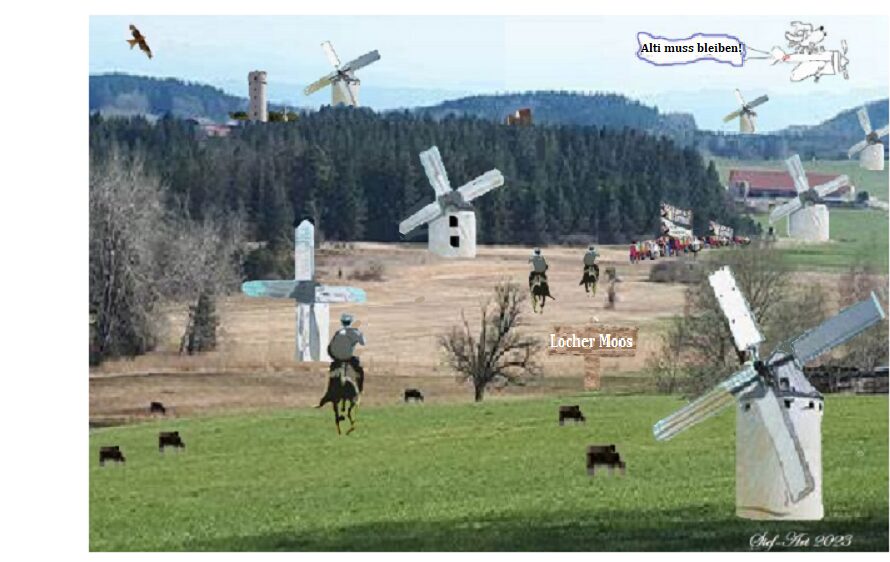 Schwammwald_1.jpg