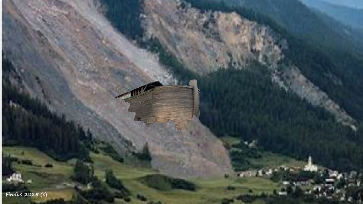Noah_3.jpg